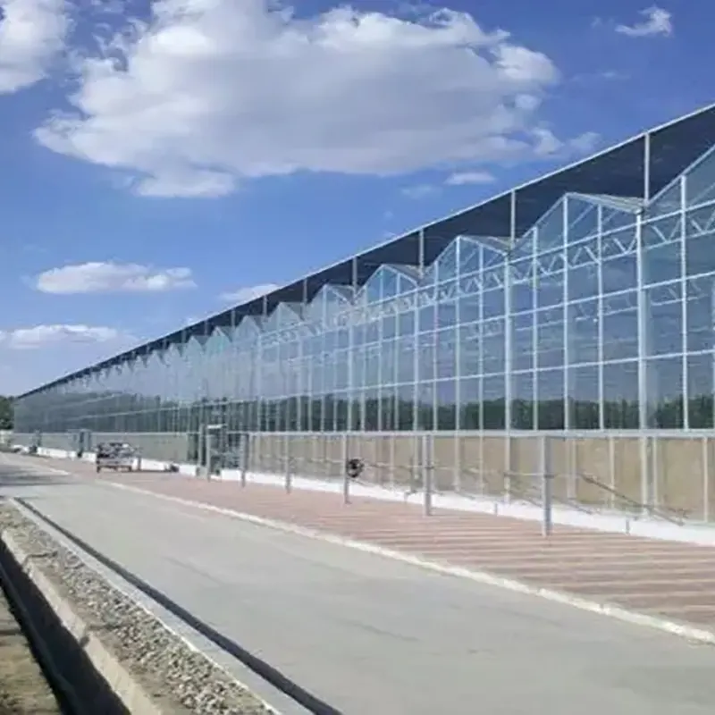 Двухсторонняя многопролетная теплица пилообразного типа