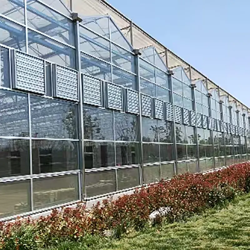 Multi-Span Double Layer Hollow Glass Green House