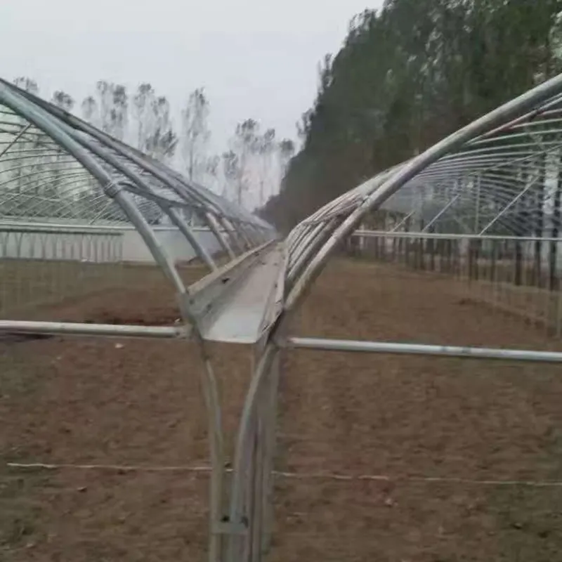 Leg-Together Round-Arch Simple Multi-Span Greenhouse