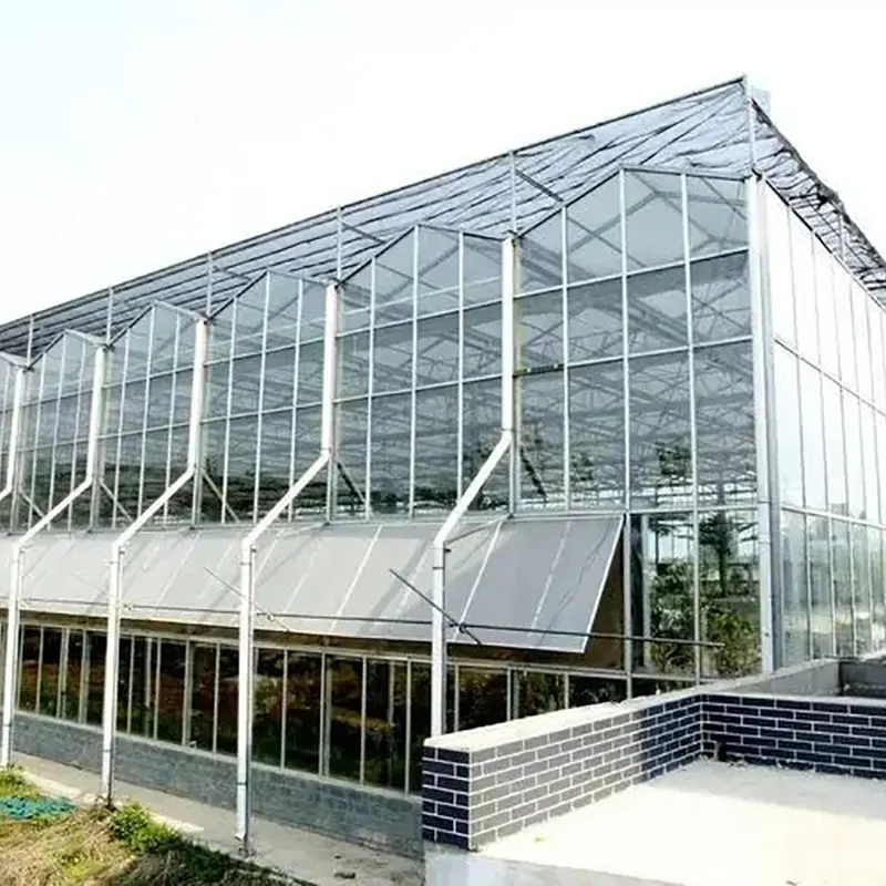 Multi-Ridge Venlo-Type Multi-Span Greenhouse