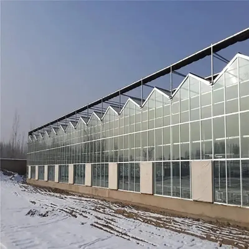 Многопролетная теплица из однослойного стекла